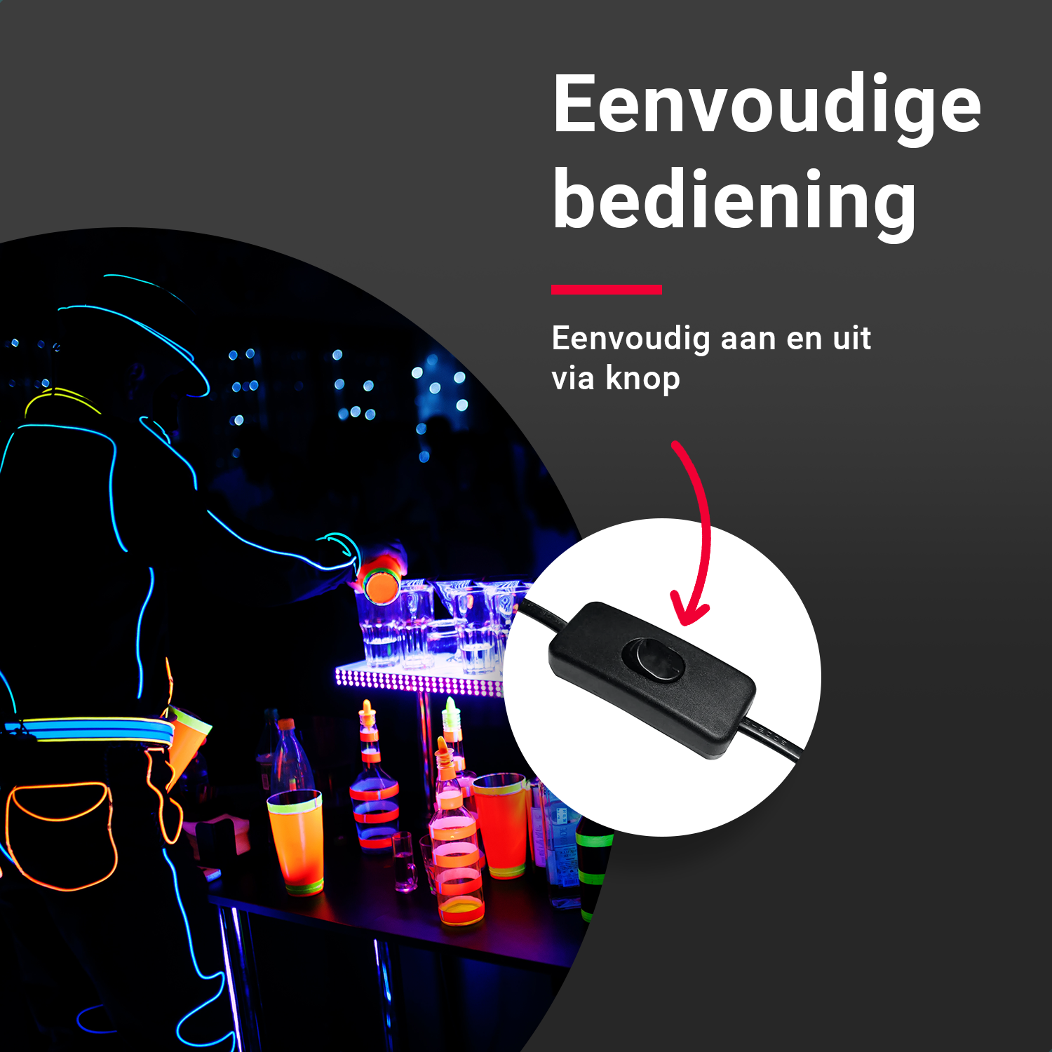 Schakelaar in de kabel van de 100W Blacklight UV Lamp – YPE