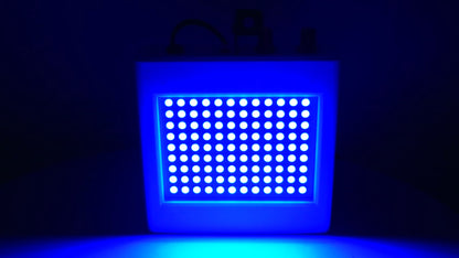 Blauw lichteffect van de 35W LED Stroboscoop Lamp – YPE