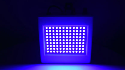 Paars lichteffect van de 35W LED Stroboscoop Lamp – YPE