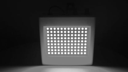 Wit lichteffect van de 35W LED Stroboscoop Lamp – YPE